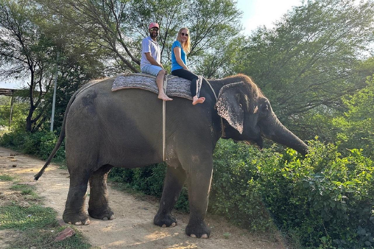 Jaipur: Hathigao Elephant Village Ride, Feeding, & Photos Riding, Feeding, Climbing And Photography with Elephant