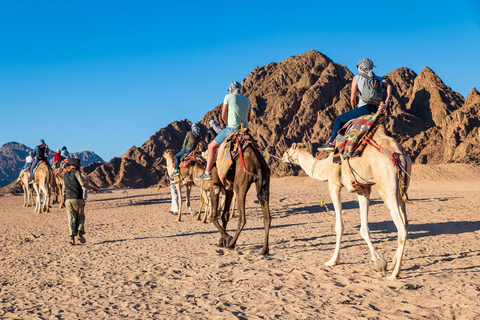 Sharm El-Sheikh: Jeep Adventure to Blue Hole, Canyon & Dahab Option 1 - Colored Canyon without Blue Hole & Abu Galum