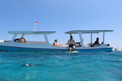 Gili Island: Privat snorklingstur 3 platser med GoPro