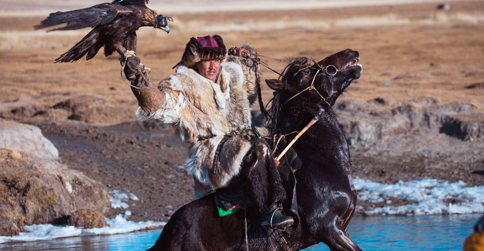 Mongolia, Golden Eagle Festival Tour 2024 (8 Days) - Housity