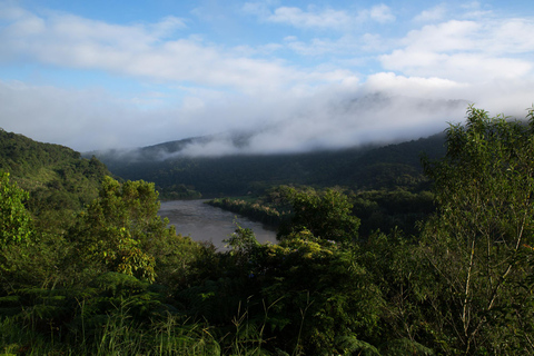 From São Paulo: Oyster Trail and My God Waterfall