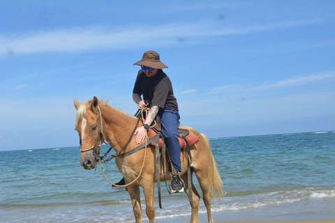 Puerto Plata: Luxury Horseback Riding and Beach Tour