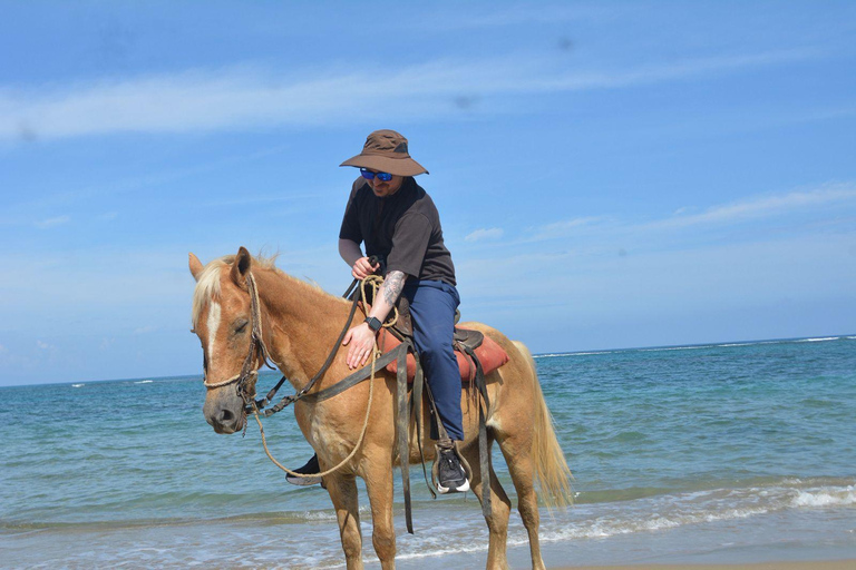 Puerto Plata: Luxury Horseback Riding and Beach Tour
