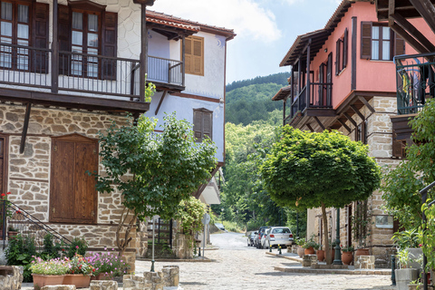 Thessalonique : Halkidiki, Arnaia, Ierissos - Baignade et dégustation