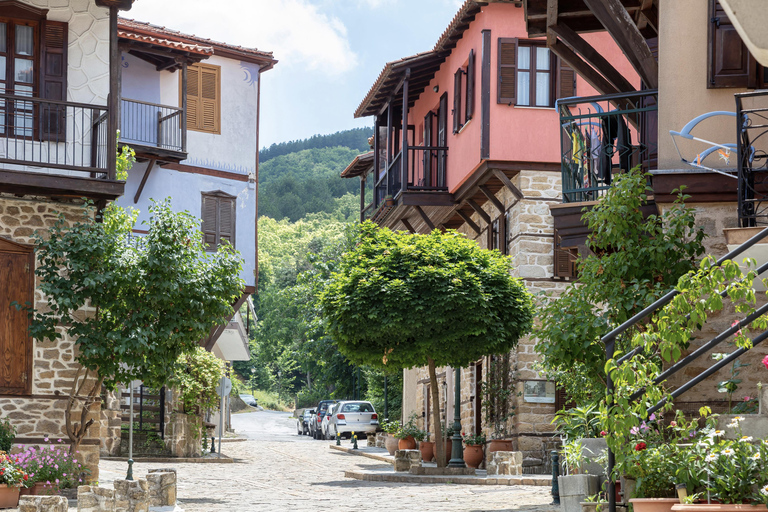 Saloniki: Halkidiki, Arnaia, Ierissos - pływanie i degustacja