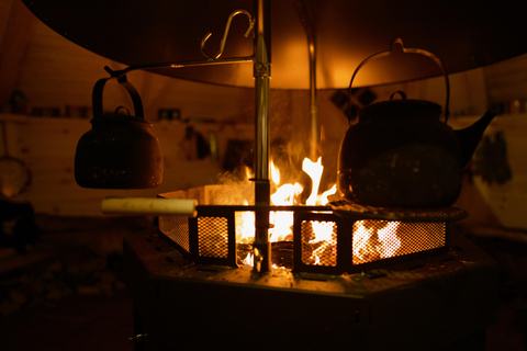 Levi: Winter Wilderness Husky & Reindeer Safari Combo Tour