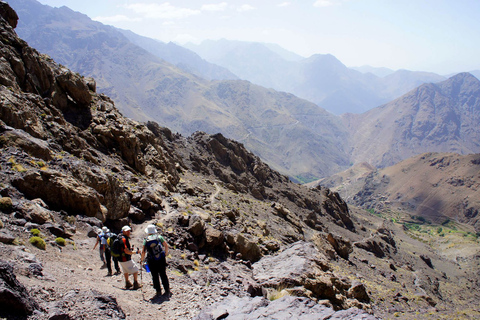 Agadir ou Taghazout : Vallée du Paradis Montagne de l'Atlas & Déjeuner