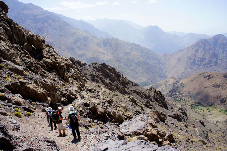 Agadir of Taghazout: Paradise Valley Atlasberg en lunch