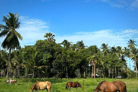 Phuket Sunset Beach Horseback Journey