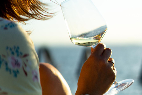 Excursion privée d&#039;une journée dans la campagne viennoise avec dégustation de vins