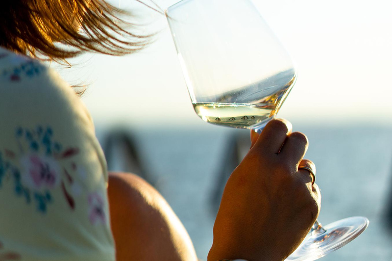 Excursion privée d&#039;une journée dans la campagne viennoise avec dégustation de vins