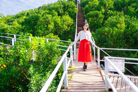 Chiang Mai: Mon Jam Flower Hills, Alpaca Cafe & Dantewada