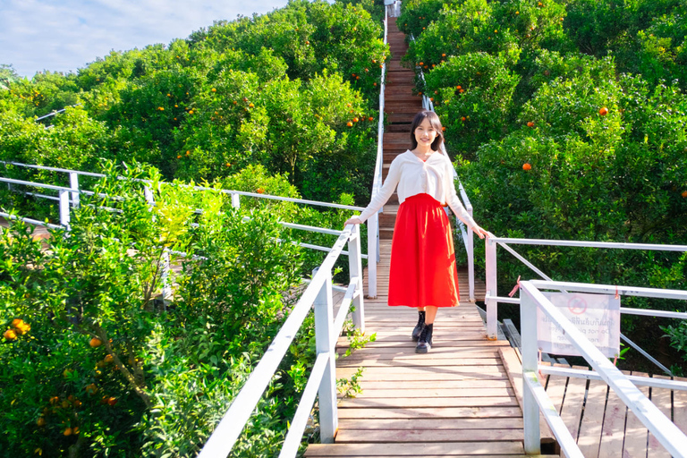 Chiang Mai: Mon Jam Flower Hills, Alpaca Cafe & Dantewada