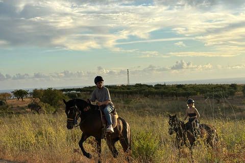 Romantic Experience with horses in the Natural Reserve WWF