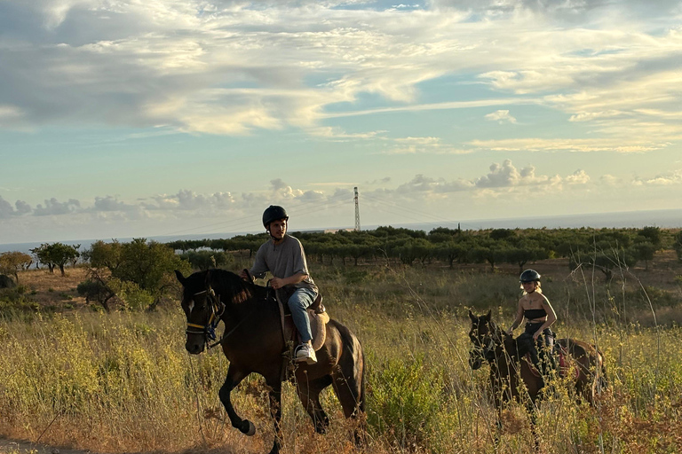 Romantic Experience with horses in the Natural Reserve WWF