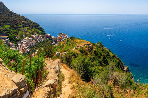 Cinque Terre & Pisa from Florence: Coastal Adventure & Hike Cinque Terre – All 5 Villages with Scenic Hike