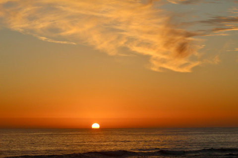 From Santiago: Full-Day Tour of Viña del Mar and Valparaiso