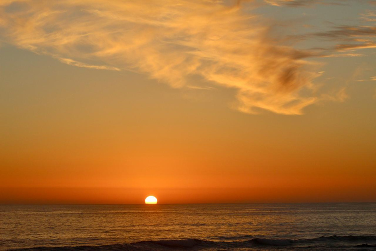 From Santiago: Full-Day Tour of Viña del Mar and Valparaiso