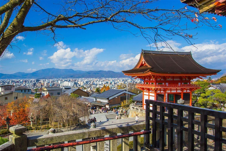 From Osaka: Kyoto, Nara & Uji Day Trip