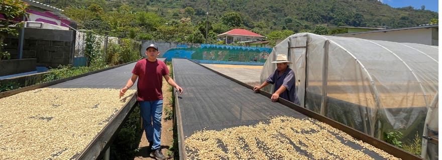 San Pedro Sula : visite caféière, cascade et lac Yojoa