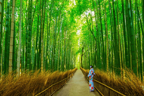 Osaka: Kioto Arashiyama, Sanzen-in, Bamboo Grove, jesienne klonyStacja Kioto Hachijo Wyjdź o 9:50