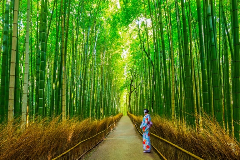 Osaka: Kioto Arashiyama, Sanzen-in, Bamboo Grove, jesienne klonyStacja Kioto Hachijo Wyjdź o 9:50