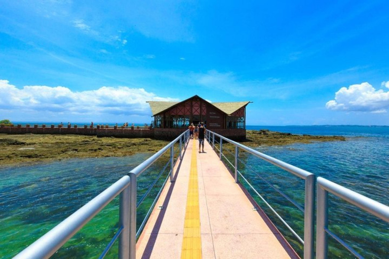 Depuis Salvador : Excursion en goélette à Ilha dos Frades