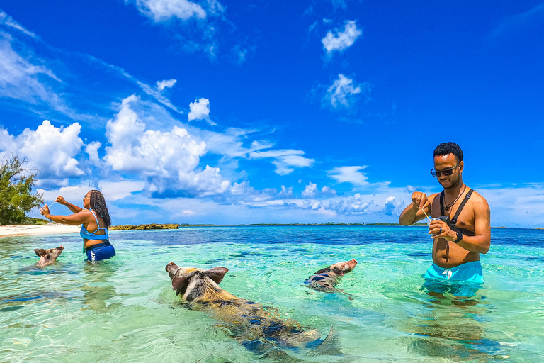 From Nassau: Swimming Pigs Island by Water Taxi with Drinks