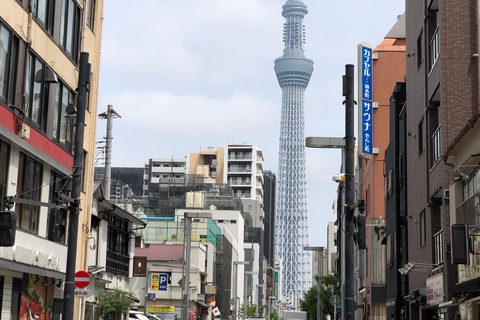 Tokio rondleidingen in het Spaans (Asakusa - Skytree Tower- Akihabara)Tokio rondleidingen in het Spaans