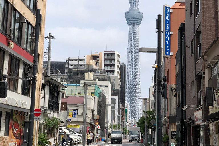 Tokyo-turer på spanska (Asakusa - Skytree Tower- Akihabara)Tokyo Tours på spanska