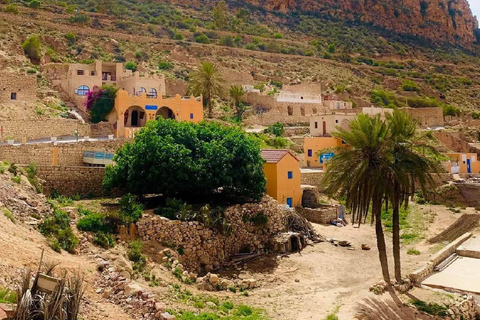 From Djerba: Desert Camp & Amazigh Villages Tour with Dinner