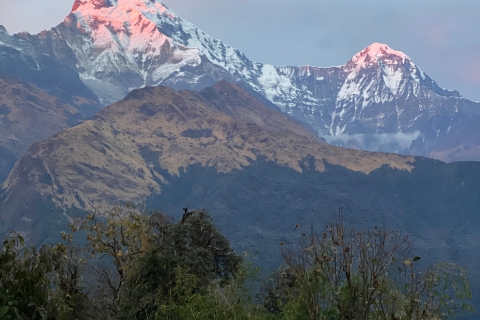 Jedź i odkrywaj: 2-dniowa wędrówka z przewodnikiem Poon Hill z PokharyJedź i odkrywaj: 2-dniowa wędrówka panoramiczna Poon Hill z Pokhary