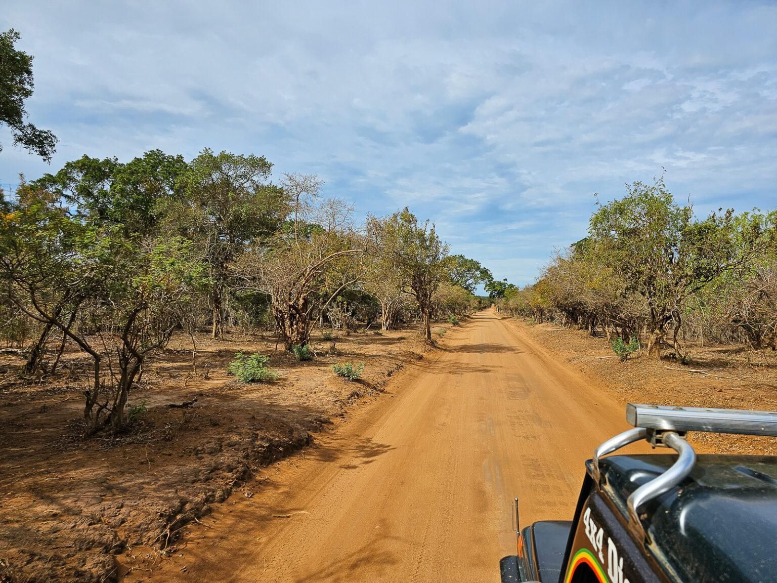 Yala-Nationalpark Wildlife-Safari ab Galle