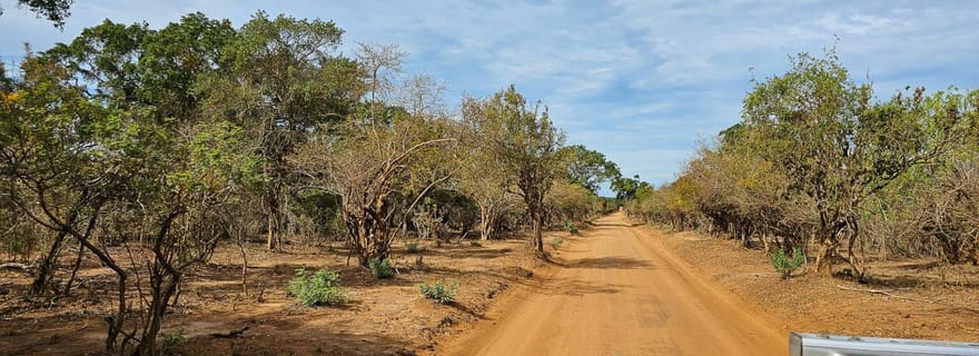 Safari dans le parc national de Yala au départ de Galle