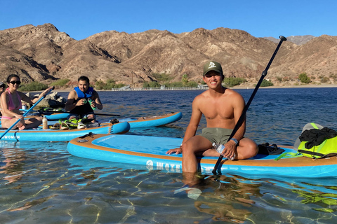 Plage de Willow : Location de paddle board