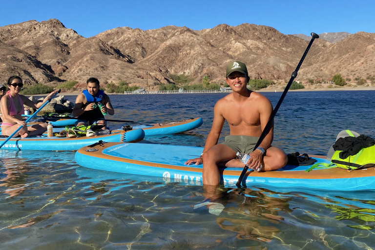 Plage de Willow : Location de paddle board