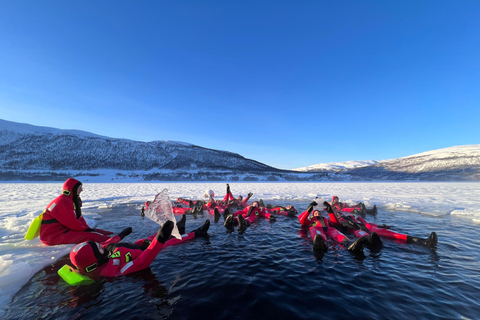 Tromsø: Acampamento Flutuante no Oceano Ártico Fato de Resgate NataçãoExperiência Noturna