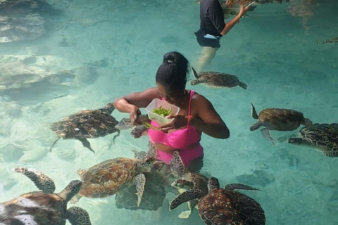 ZANZIBAR: Farma przypraw, jaskinia Salam, pływanie z żółwiami i restauracja RockWYCIECZKA PRYWATNA Z TRANSPORTEM