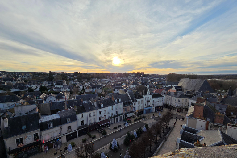 Loire Valley Wine Tour from Paris: 2 Wineries & 10 Tastings Premium Option