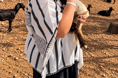 Agadir: Argan Tree-Climbing Goats & Oil Cooperative Tour