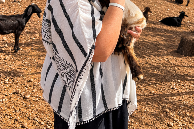 Agadir: Argan Tree-Climbing Goats & Oil Cooperative Tour