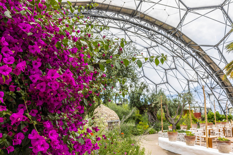 Kornwalia: Bilet wstępu do projektu Eden