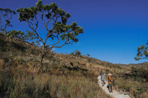 From São Paulo: 5-Day Serra da Canastra Wildlife Safari