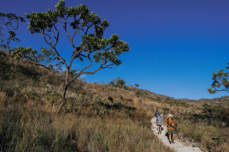 From São Paulo: 5-Day Serra da Canastra Wildlife Safari