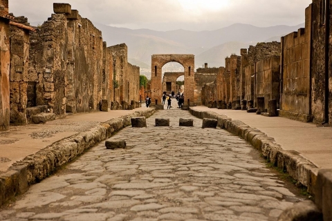 Vanuit Napels: Privétour Vesuvius, Herculaneum en PompeiiVan 1 tot 3 personen