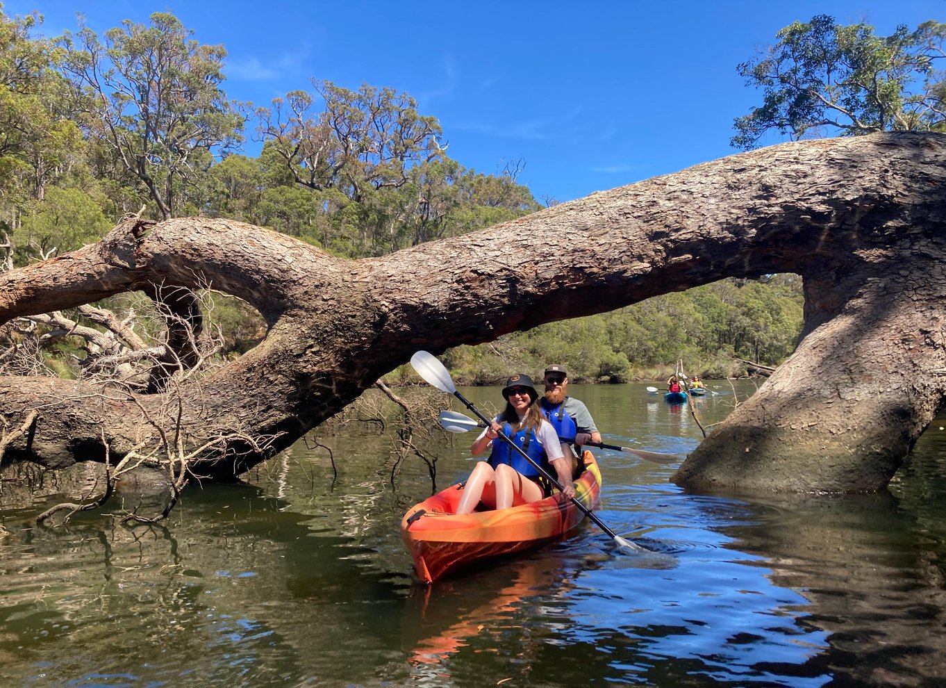 Margaret River: Guidet kajak- og vingårdstur med frokost