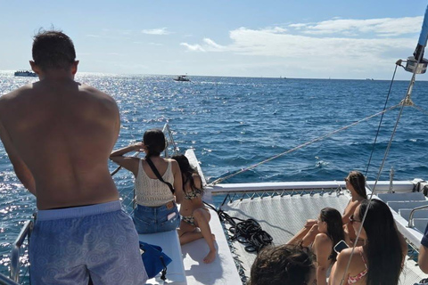 Oahu : aventure de plongée avec tuba dans le Turtle Canyon avec équipementOahu : Aventure de plongée avec tuba dans le Turtle Canyon, équipement fourni