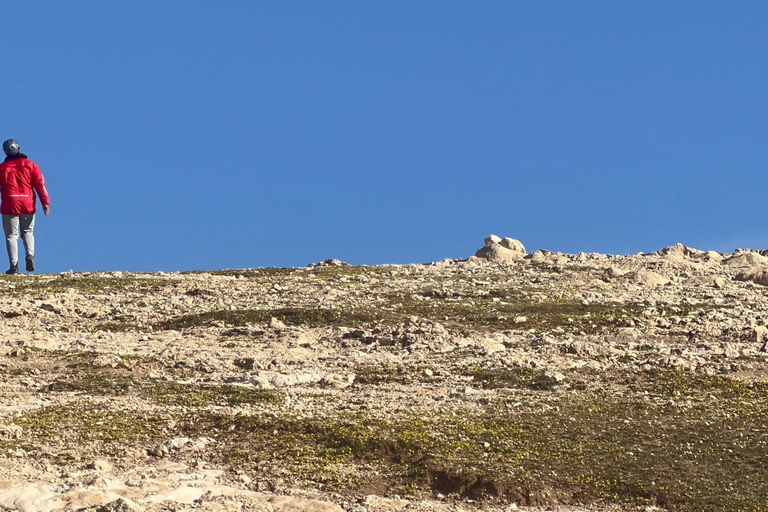 Avventura a Marrakech: parapendio, giro in cammello e colazione