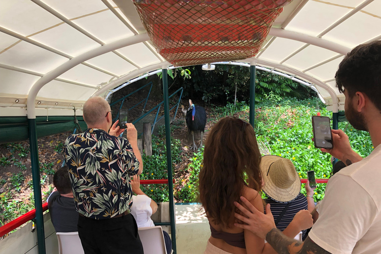 Kuranda Riverboat Tour