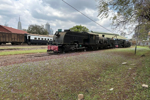 Tour a piedi della città di Nairobi